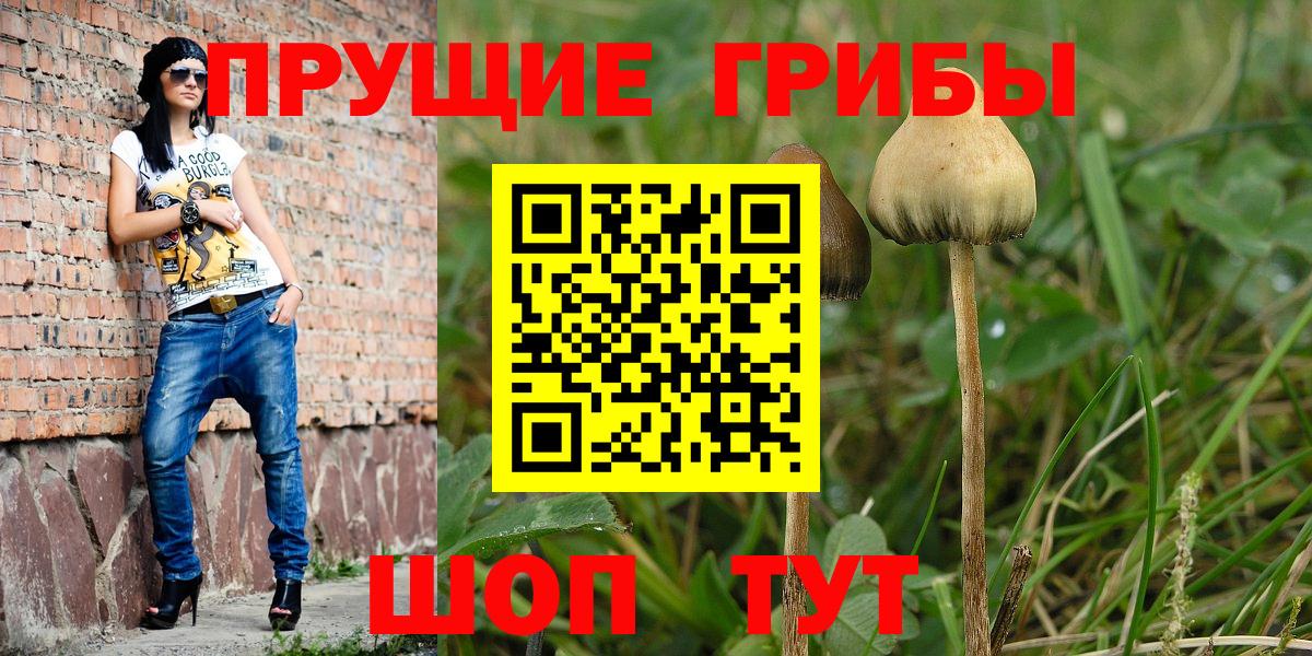 Галлюциногенные грибы Magic Shrooms  Вход с VPN  Галлюциногенные грибы Cubensis  Абакан 